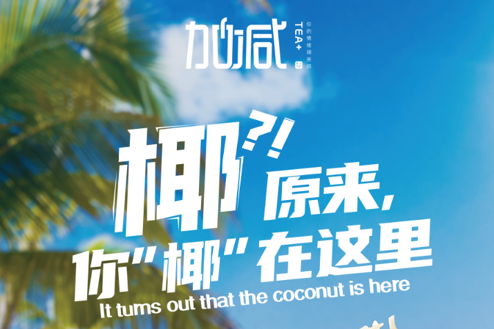 必博椰子系列新品火爆上市